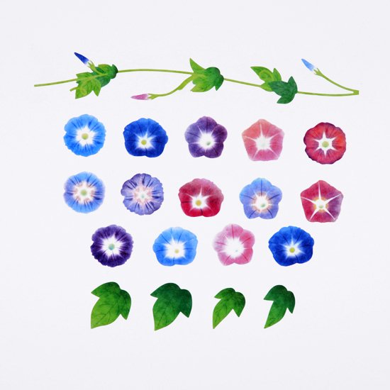 Bande Masking Art Kit - Morning Glory