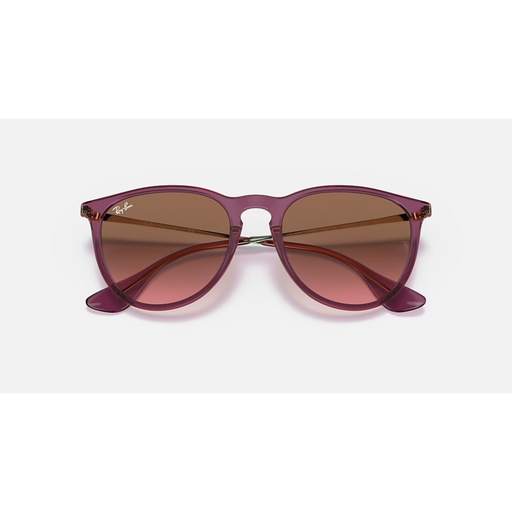 RAYBAN - ERIKA | Polished Transparent Violet w/ Brown