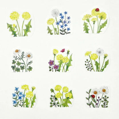 Bande - Dandelion Field