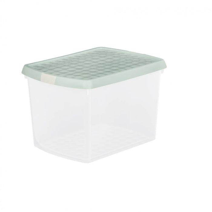 Clear/Silver Sage