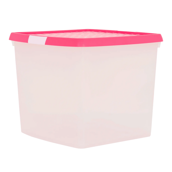 Clear/Pink
