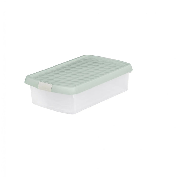 Clear/Silver Sage