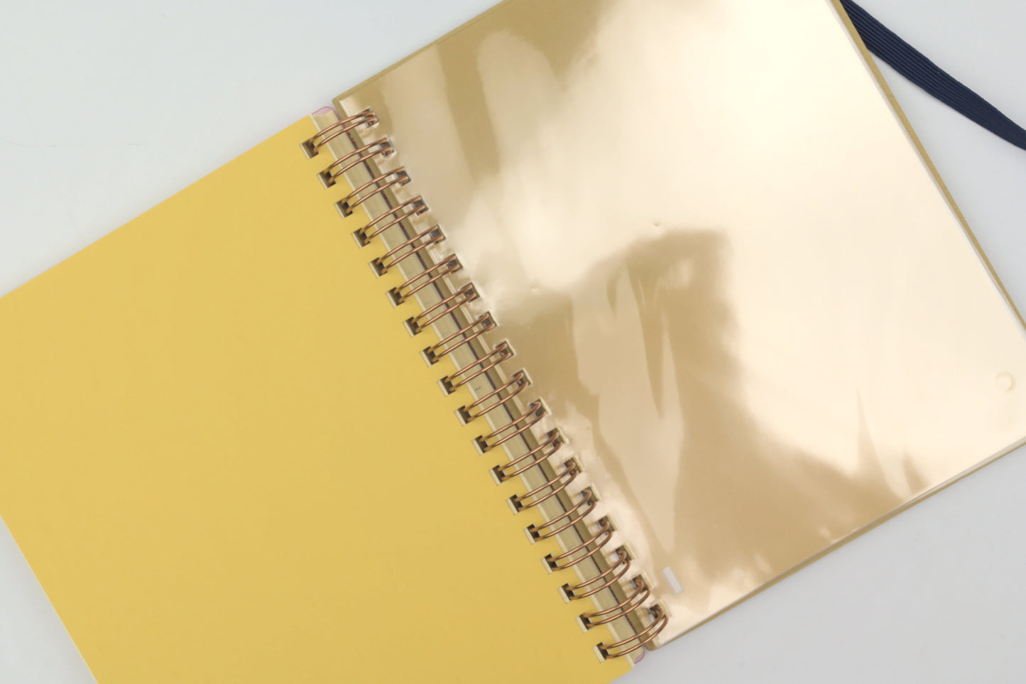 Delfonics Rollbahn Spiral Notebook - Free Diary - Clear