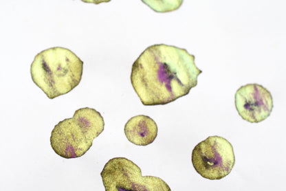 Diamine Purple Edition - Chameleon - Tranquility