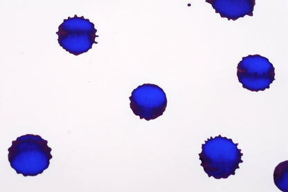 Diamine Fountain Pen Ink - Mediterranean Blue - 30mL