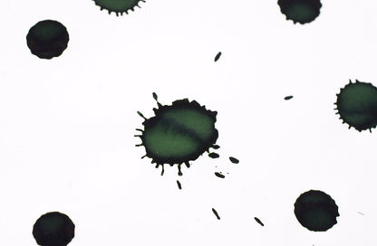 Diamine Fountain Pen Ink - Emerald - 30mL