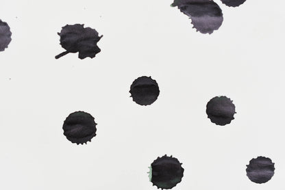 Diamine Fountain Pen Ink - Green/Black - 30mL