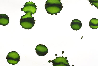 Diamine Fountain Pen Ink - Spring Green - 30mL