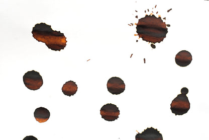 Diamine Fountain Pen Ink - Sepia - 30mL