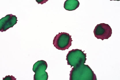 Diamine Fountain Pen Ink - Woodland Green - 30mL