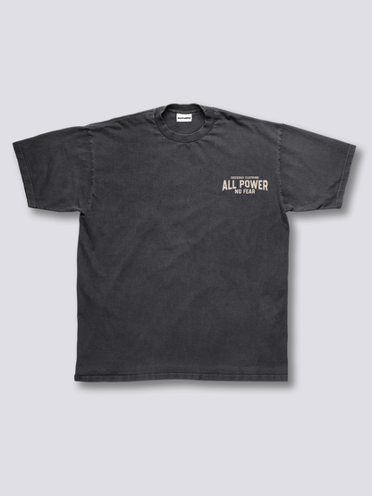 Fearless Dragon Vintage T-Shirt