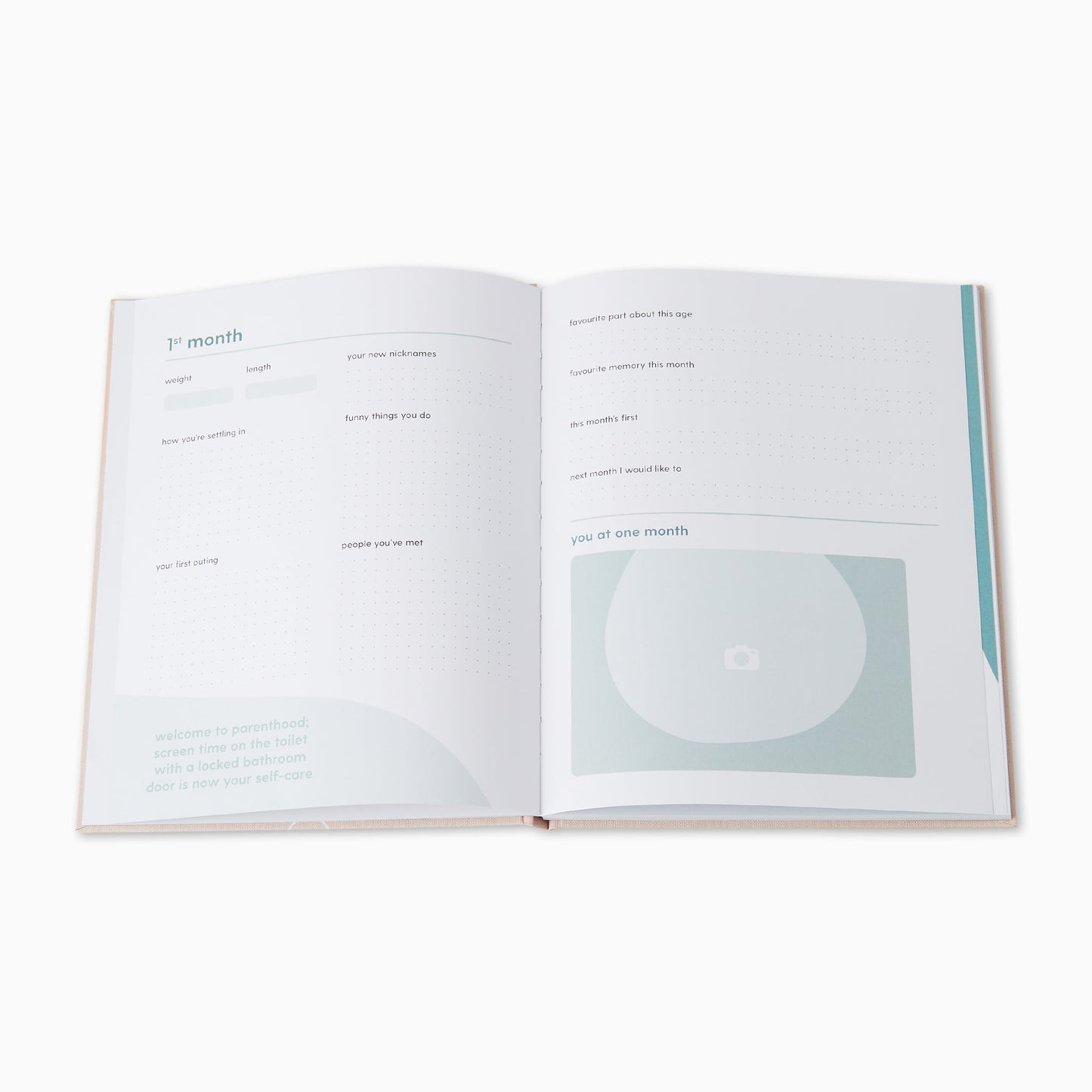 Hello Baby Book - Blush