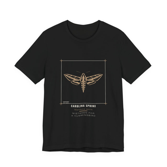 A tan carolina sphinx moth with narrow swept-back wings and a streaked body, drawn as a specimen plate inside a thin bracket frame with a 50 mm scale bar, labelled CAROLINA SPHINX / Manduca sexta, printed on a black unisex t-shirt.