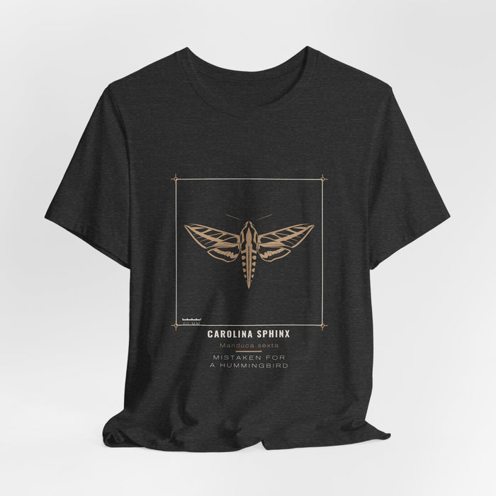 Dark grey heather Carolina Sphinx t-shirt shown draped, front print visible.