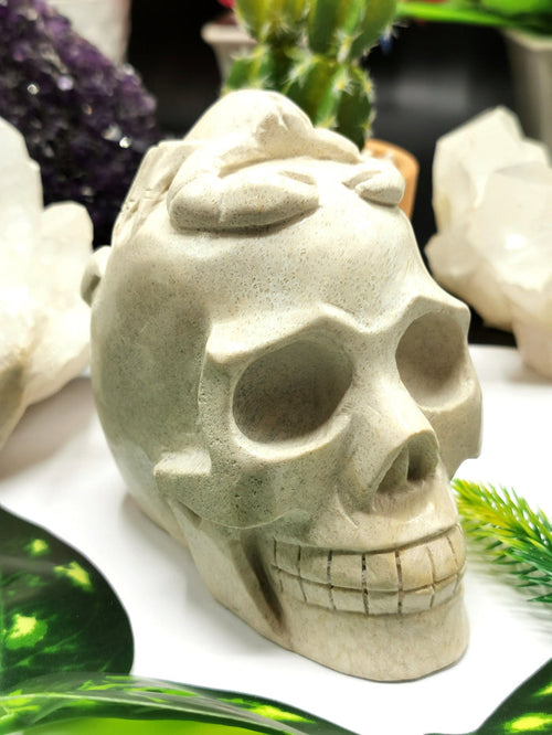 Coral Jasper Skull with Scorpion Carving on top intricately hand carved - Shwasam