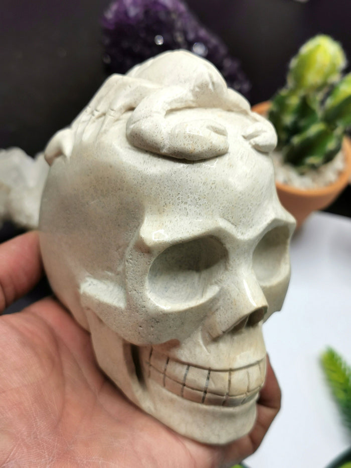 Coral Jasper Skull with Scorpion Carving on top intricately hand carved - Shwasam