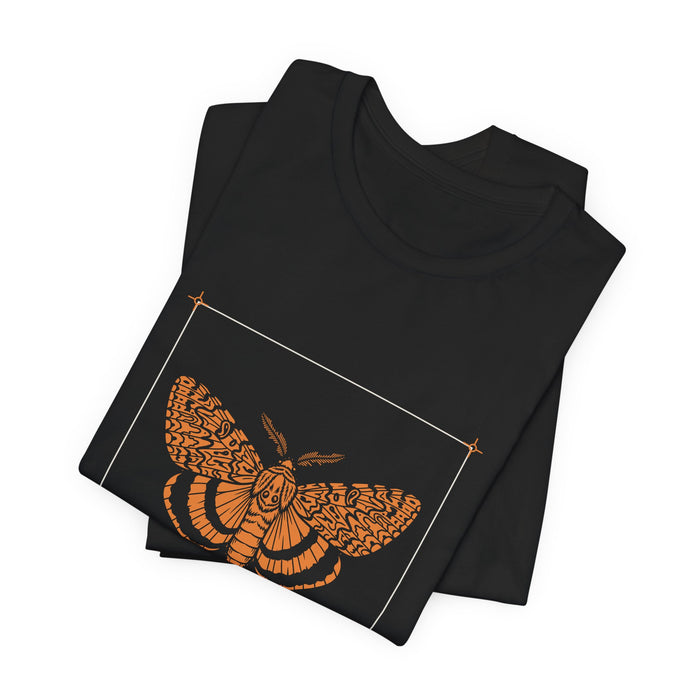 Black Ilia Underwing t-shirt folded to show the front print at an angle.