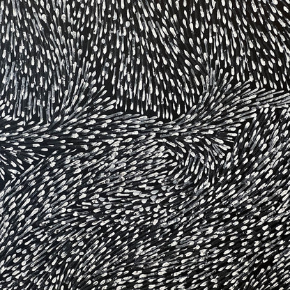 lynette corby nungurrayi | original artwork | tree root dreaming - ID32410