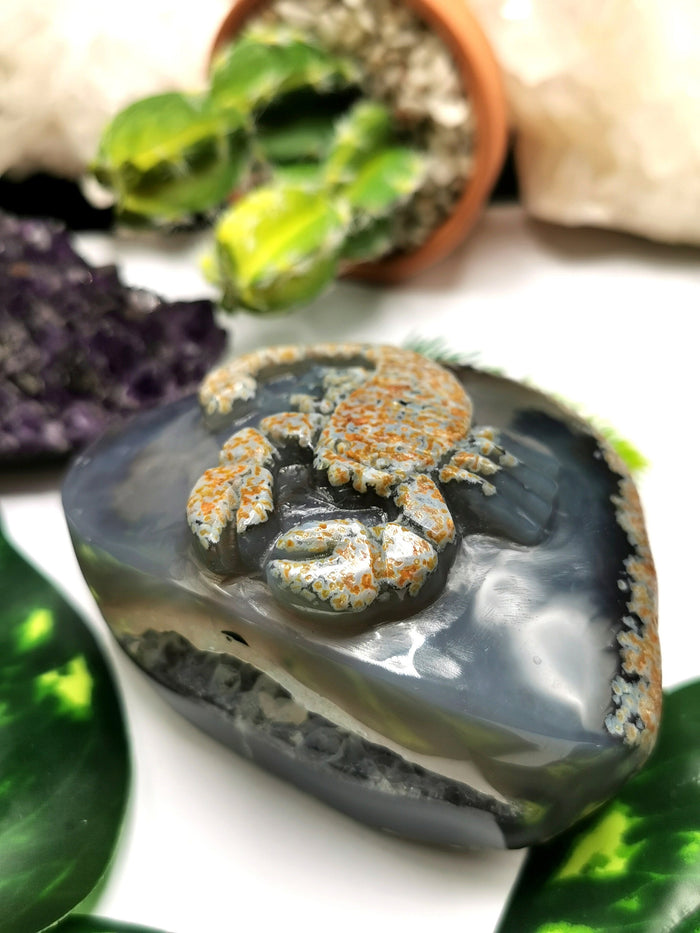 Natural Agate Stone geode with carving of Scorpion - crystal/reiki/chakra/healing - Shwasam