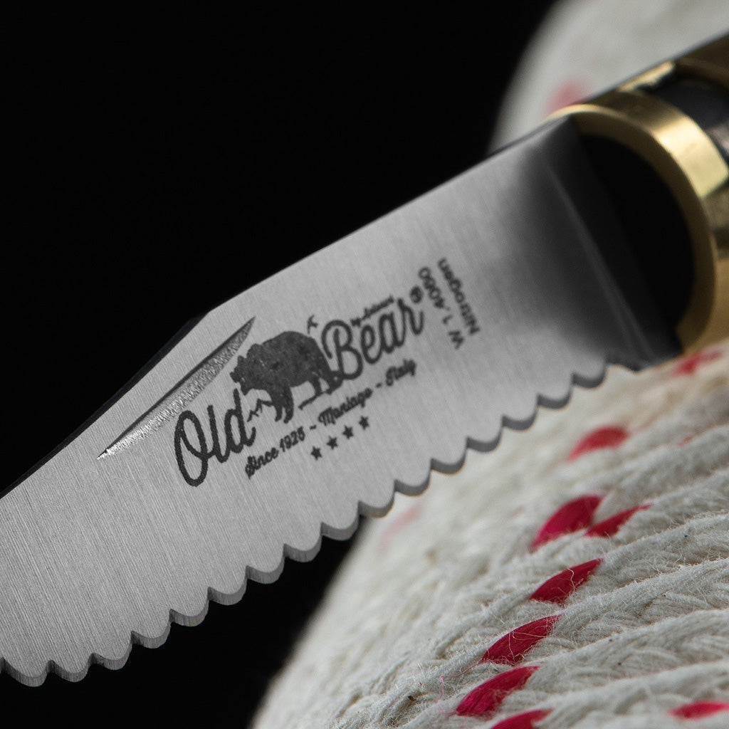 Classic Walnut Folding Knife | Stainless Serrated