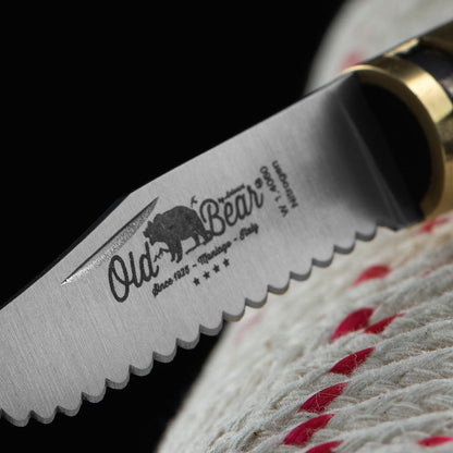 Classic Walnut Folding Knife | Stainless Serrated