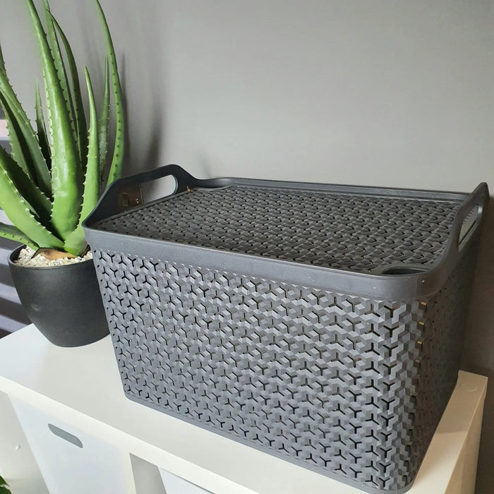 Medium Urban Style Plastic Storage Basket with Lid Strata