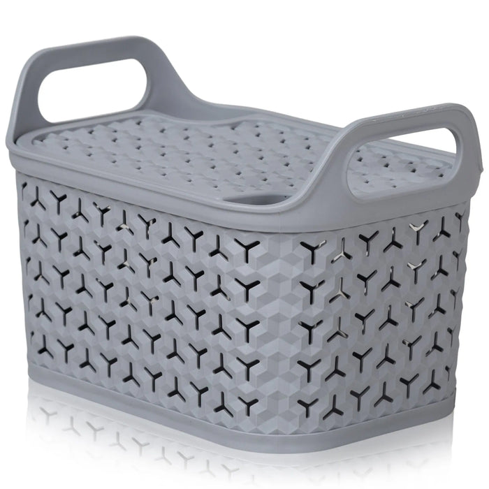 Small Urban Plastic Storage Basket with Lid Strata