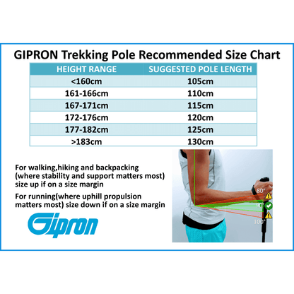 Gipron 310 Mont Blanc Carbon 4