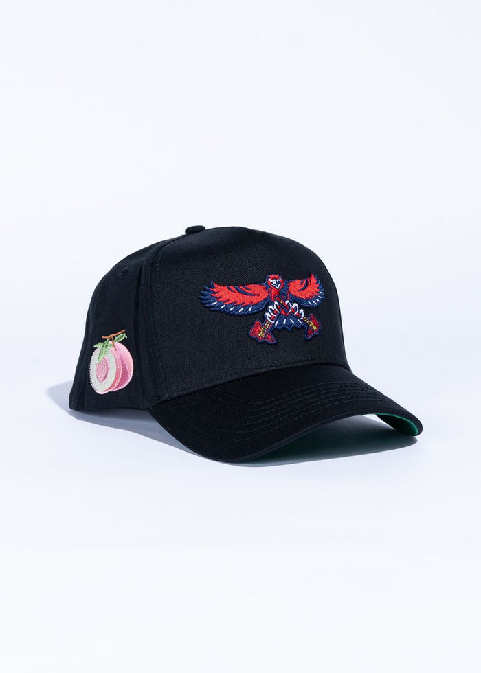 Reference Bravehawks - Black