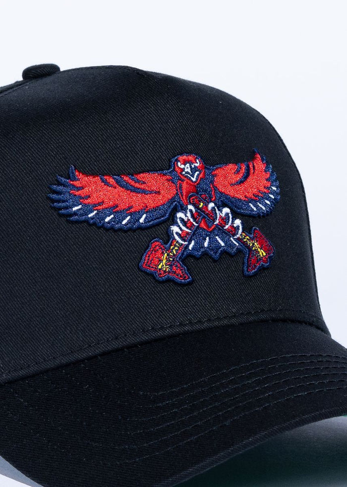 Reference Bravehawks - Black