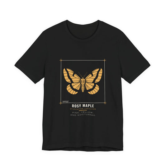 A gold rosy maple moth with banded, striped wings, drawn as a specimen plate inside a thin bracket frame with a 50 mm scale bar, labelled ROSY MAPLE / Dryocampa rubicunda, printed on a black unisex t-shirt.