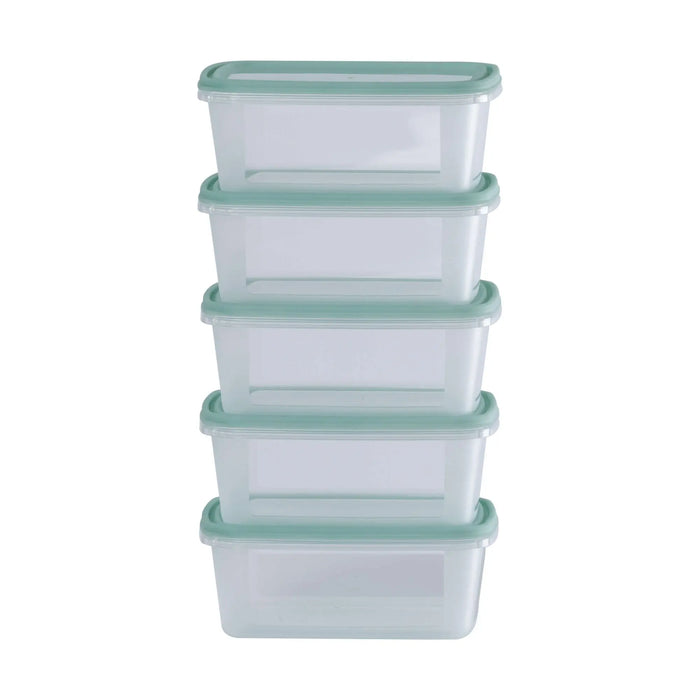 Set of 5 Everyday 0.5 Litre Plastic Food Boxes with Lids Wham Storage