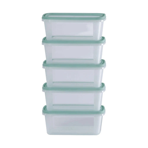 Set of 5 Everyday 0.5 Litre Plastic Food Boxes with Lids Wham Storage