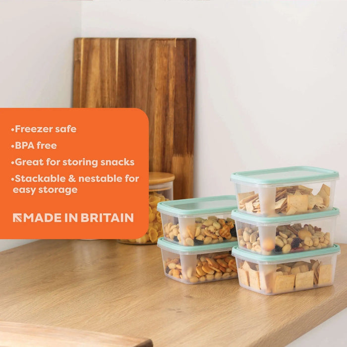 Set of 5 Everyday 0.5 Litre Plastic Food Boxes with Lids Wham Storage