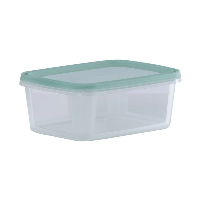 Set of 5 Everyday 0.5 Litre Plastic Food Boxes with Lids Wham Storage