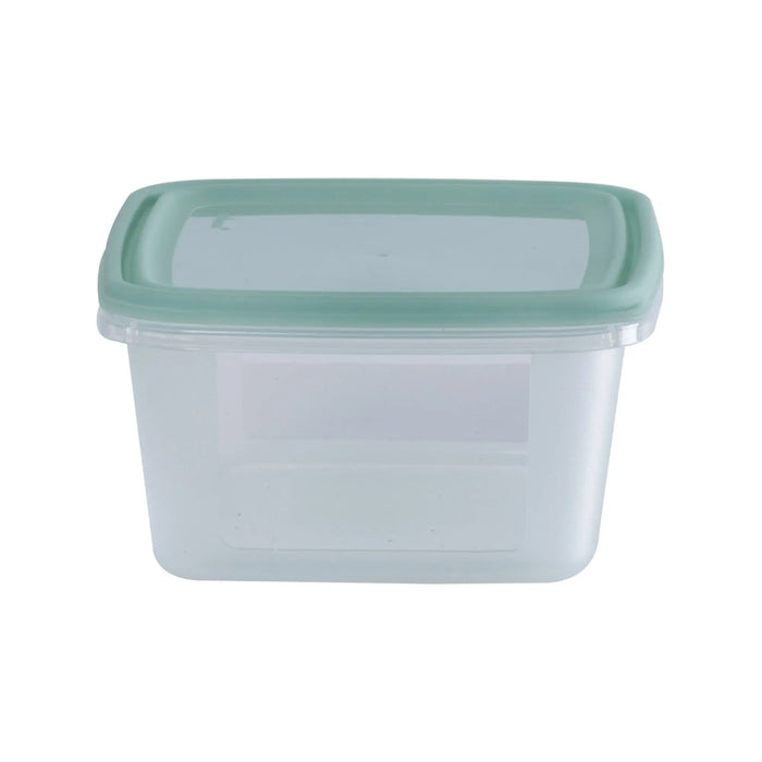 Set of 5 Everyday 0.5 Litre Plastic Food Boxes with Lids Wham Storage