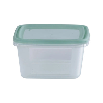 Set of 5 Everyday 0.5 Litre Plastic Food Boxes with Lids Wham Storage