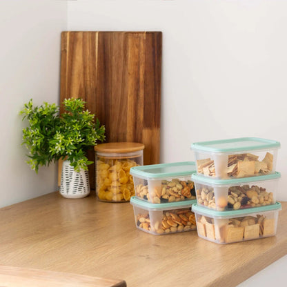 Set of 5 Everyday 0.5 Litre Plastic Food Boxes with Lids Wham Storage