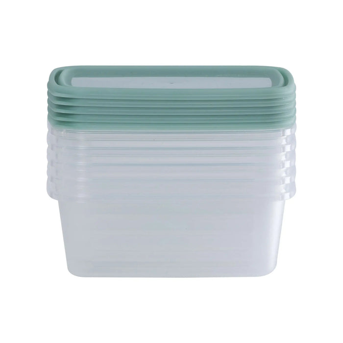 Set of 5 Everyday 0.5 Litre Plastic Food Boxes with Lids Wham Storage