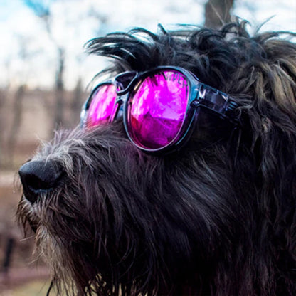 PIT VIPER - EXCITERS | THE SMOKE SHOW POLARIZED