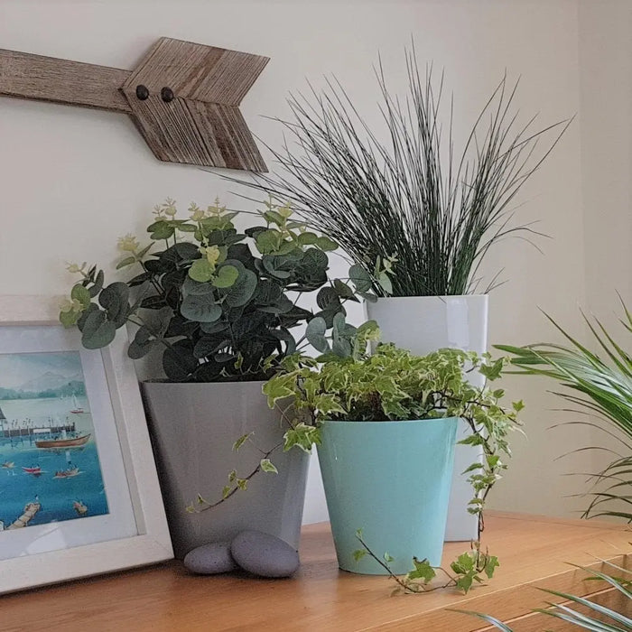 Studio 18cm Round Plastic Indoor Planter Wham Storage