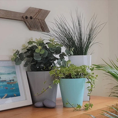 Studio 18cm Round Plastic Indoor Planter Wham Storage