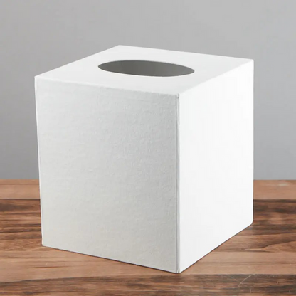White Paper Mache Tissue Box Cover
