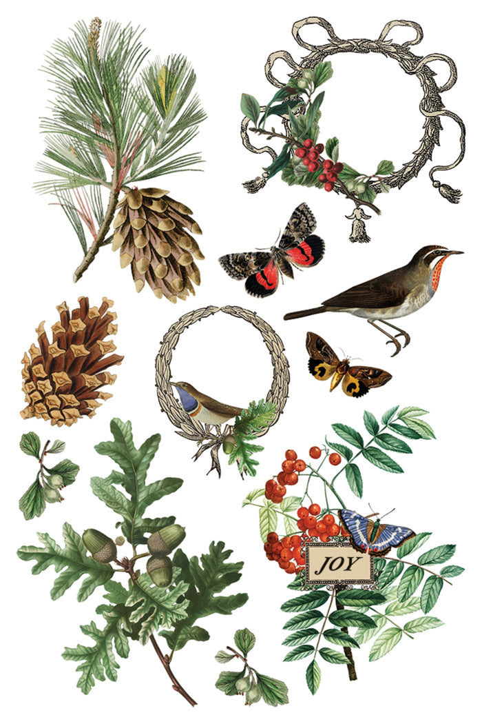 Winter Botanist Transfer by IOD