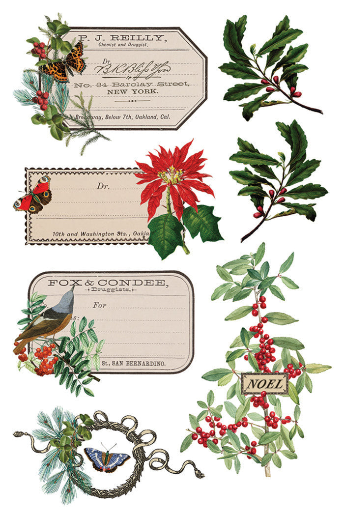 Winter Botanist Transfer by IOD