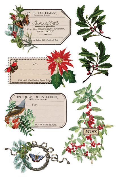 Winter Botanist Transfer by IOD