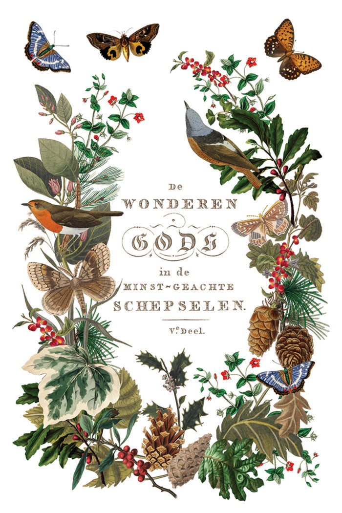 Winter Botanist Transfer by IOD